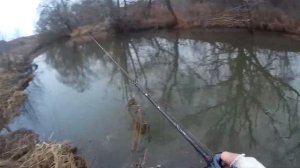 Рыбалка в Январе щука на спиннинг  Daiwa Ballistic-X,катушкаShimano Casitas