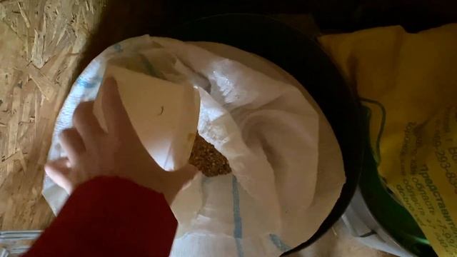 КУДА ДЕВАТЬ ЕГО - НЕ ЗНАЮ/ копится УРОЖАЙ годами НИКТО НЕ ЕСТ смотреть онлайн