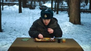 ОБЗОР ИРП АРМИИ ЧИЛИ! Они сошли с ума??