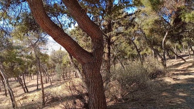 TCL 40 SE camera video sample (1080p) смотреть онлайн