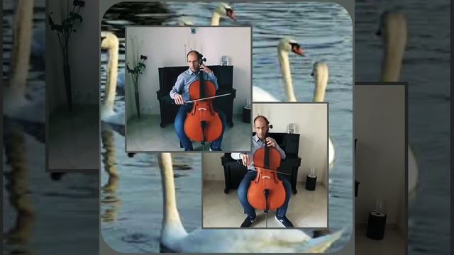 🦢🦢🦢🦢C. SAINT SAËNS: LE CYGNE FROM CARNIVAL DES ANIMAUX 🦢🦢🦢🦢 смотреть онлайн