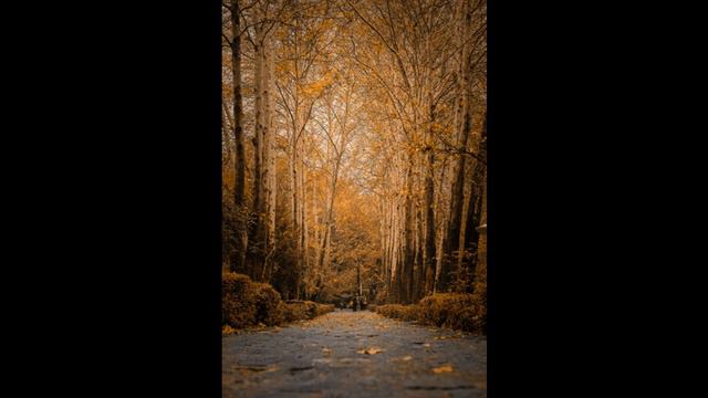 Прогулка по природе/The Nature Walk........