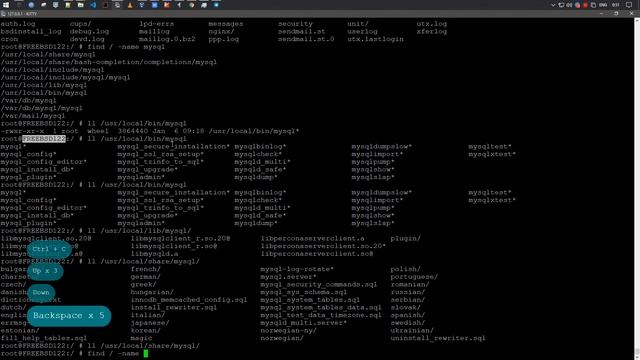 Использование pkg для управления пакетами | FreeBSD 12.2 смотреть онлайн