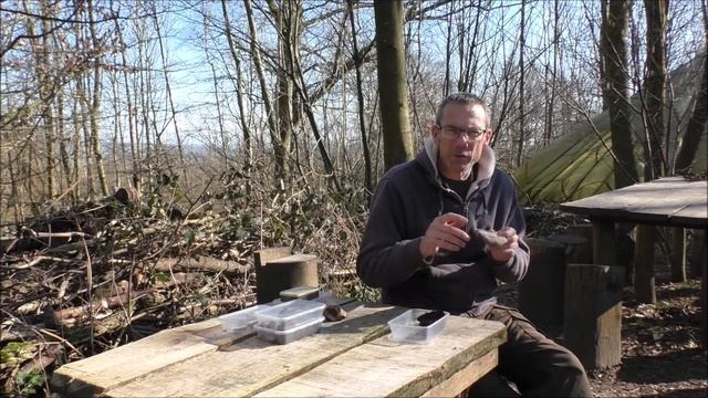 Fungus as a tinder for fire lighting in bushcraft смотреть онлайн