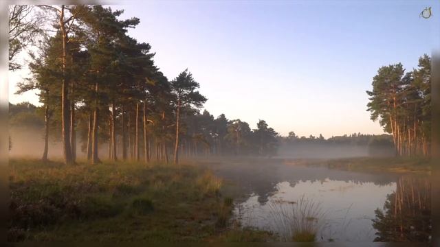 Христианское стихотворение - Свеча смотреть онлайн