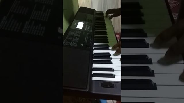 #rindu ( Covered Iis dahlia ) Casio Ct-x800 смотреть онлайн