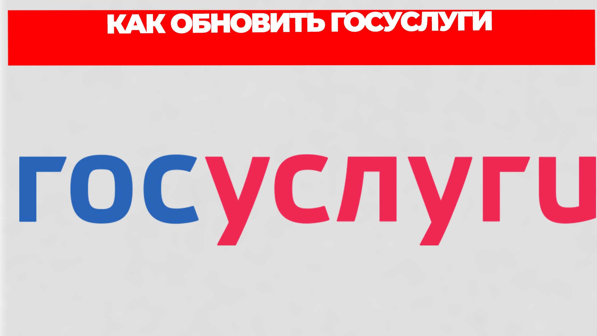 Всезнающий Енот