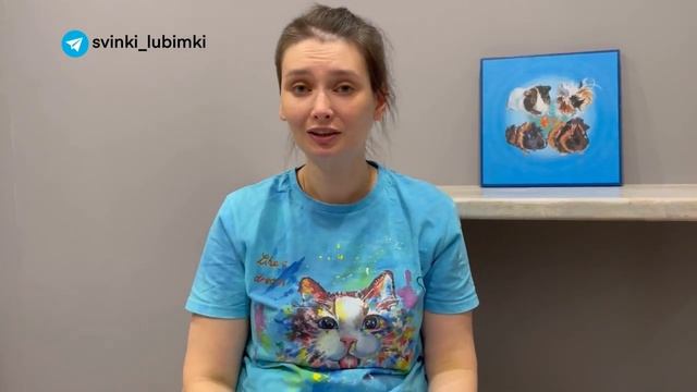 Сено для морских свинок - какое выбрать смотреть онлайн