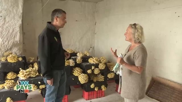 Le pays de l'Anjou : au coeur de nos régions - 1000 Pays en un - Documentaire Voyage - MG смотреть онлайн