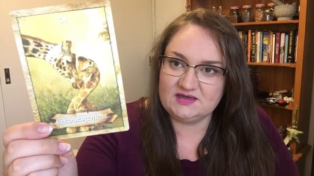 My Favourite Oracle Decks of 2016 смотреть онлайн