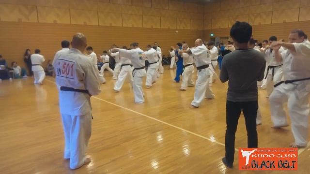 Серии руками в передвижении Дан тест 2014 Токио смотреть онлайн