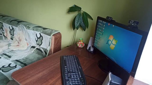 Поиск маток Гигантов. Camponotus herculeanus. / fallax. #поискматок #муравьинаяферма смотреть онлайн