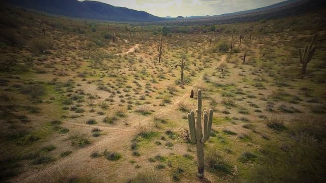 Steve Roach / Michael Stearns - Horizon is Home смотреть онлайн