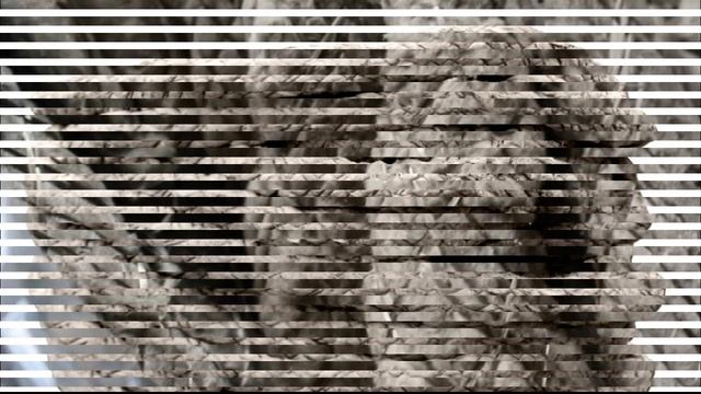 Базальтовый шнур смотреть онлайн