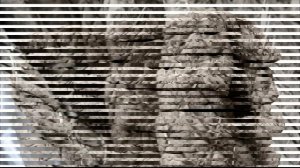 Базальтовый шнур