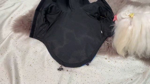 ТОП 6 Бизнес Идеи с Минимальными Вложениями. Бизнес идеи 2022. Бизнес с нуля. Малый бизнес 2022 смотреть онлайн