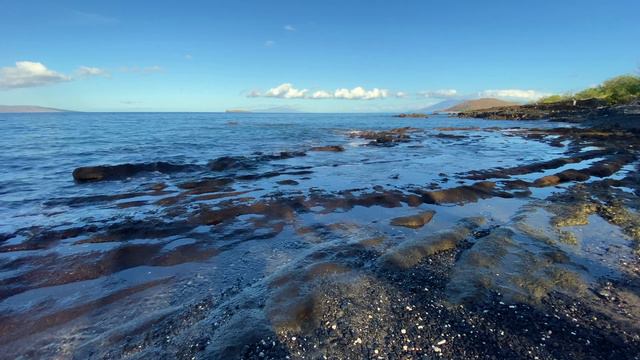 Popular black lava rock and coral with surf snorkel site at 'Ahihi-Kina'u in Makena, Maui, Hawaii 4 смотреть онлайн