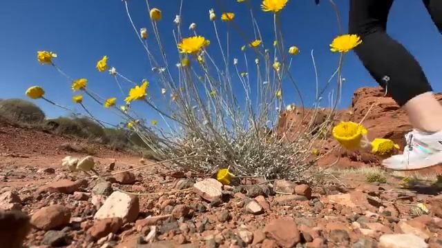 how i POWER my TINY HOME ON WHEELS (No Solar) *full time travel* смотреть онлайн