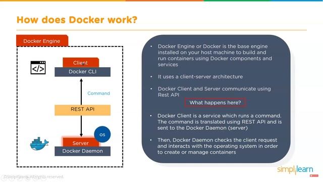Class 15: Containerization & Docker смотреть онлайн
