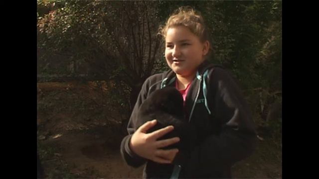 Пушистые беспризорники