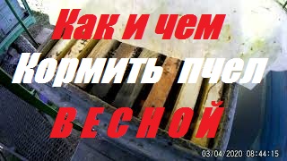 Как и чем кормить пчел весной.Ошибки пчеловода.Улья корпусные 8 рам. смотреть онлайн
