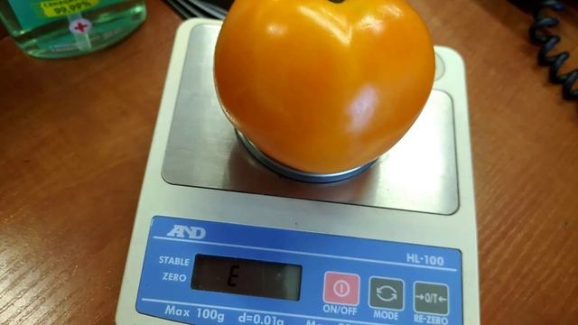 Сорт томатов Дина, обзор смотреть онлайн