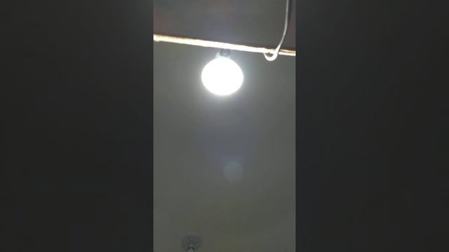 Um por cento do que esse gadget chamado Alexa ou Echo Dot pode fazer смотреть онлайн