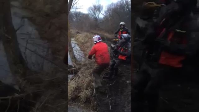 Вся правда о Стелс Гепард часть1 смотреть онлайн