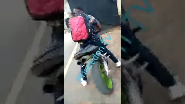 Election War смотреть онлайн