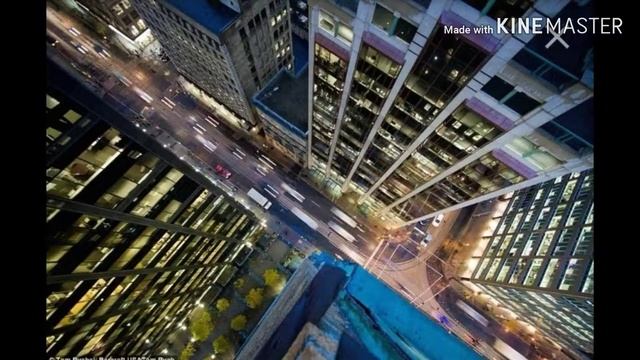 Clarity Meme Коты Воители смотреть онлайн