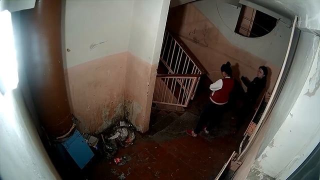 Видео с камеры, обычной этажки. соседи свиньи. смотреть онлайн
