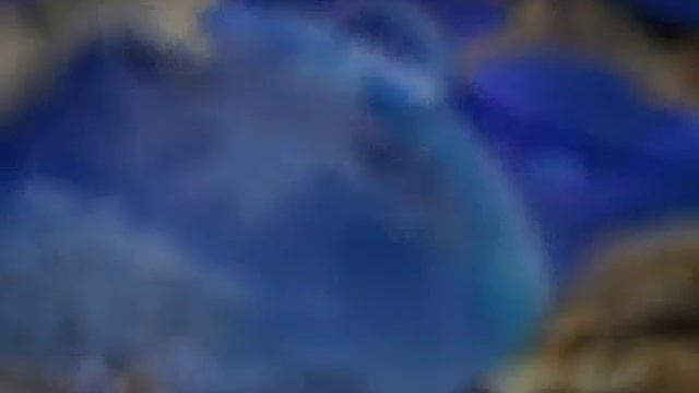 Фото шоп. ВОЛКИ смотреть онлайн