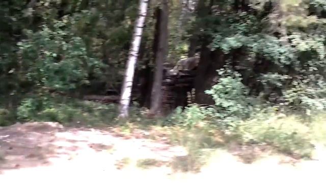 Vlog на даче или как я катаюсь еа велосипеде смотреть онлайн