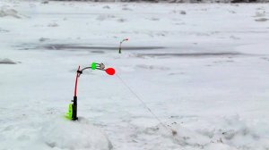 НАКОНЕЦ-ТО! ЛОВЛЯ ЛЕЩА на КОМБАЙНЫ!  Зимняя рыбалка на Леща.