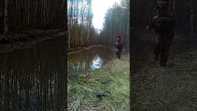 РМ 650-2 Весна 2019 смотреть онлайн