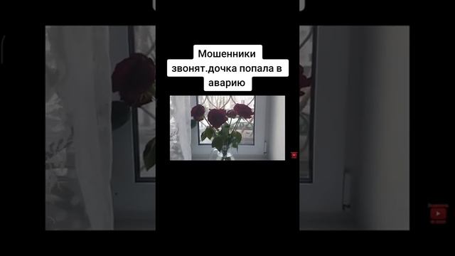 МОШЕННИКИ ПРО АВАРИЮ! ?Дочка Попала в АВАРИЮ,нужно 2 000 000₽! МОШЕННИКИ 1 смотреть онлайн