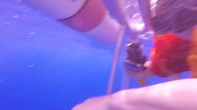 4 Плавание с акулами смотреть онлайн