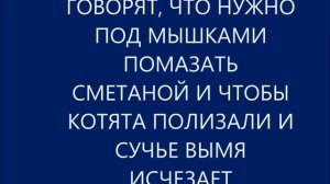 СУЧЬЕ ВЫМЯ ПОЯВИТСЯ ЕСЛИ БУДЕТЕ ОБИЖАТЬ БЕРЕМЕННЫХ СОБАК И КОШЕК