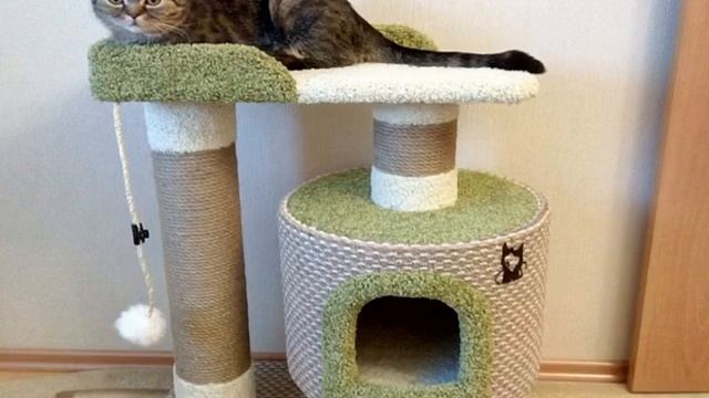Когтеточка для кошек своими руками: варианты в домашних условиях смотреть онлайн