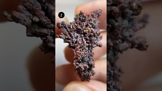 Самородная медь смотреть онлайн