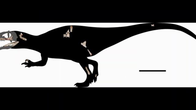 Самый ранний Кархародонтозаврид! Сиамраптор. смотреть онлайн