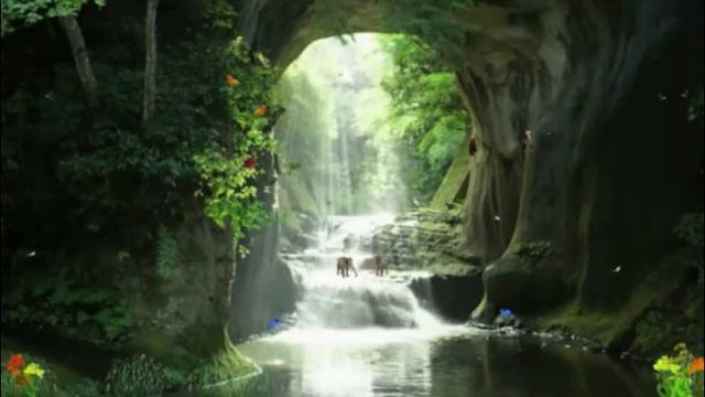 Футаж-Водопад 5 смотреть онлайн