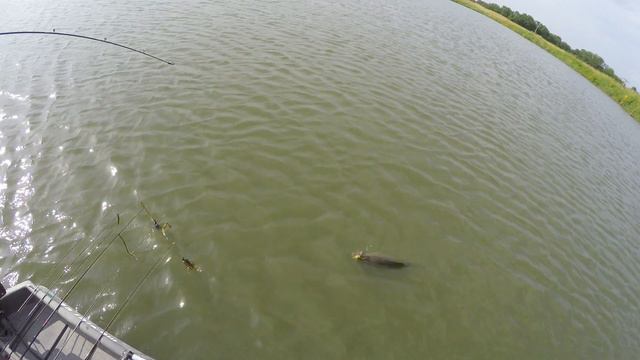 How to Continue to Catch Trophy Bass Build personal Best fisheries Proof Catch and Release works смотреть онлайн