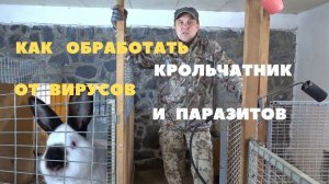 Подготовка карантинного помещение для завоза кроликов из Европы