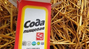 Супер Эффект на огурцах от пищевой соды. Нет жёлтых листьев, болезней и вредителей.