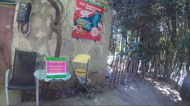 Никитский ботанический сад. Ялта смотреть онлайн