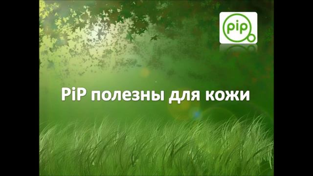 PiP МИР презентация (вводная) смотреть онлайн