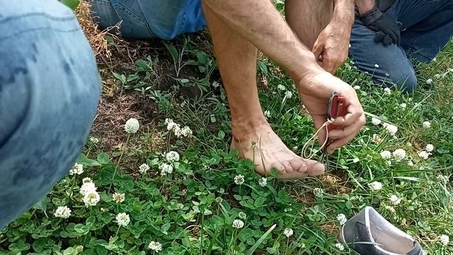 Салон красоты педикюр маникюр ??? смотреть онлайн