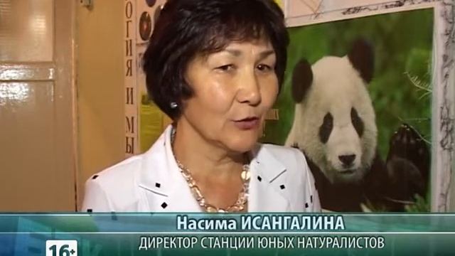 Выставка продукции юннатов смотреть онлайн