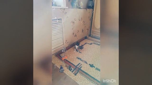 "Кошка Оливка и воздушные шарики!" смотреть онлайн